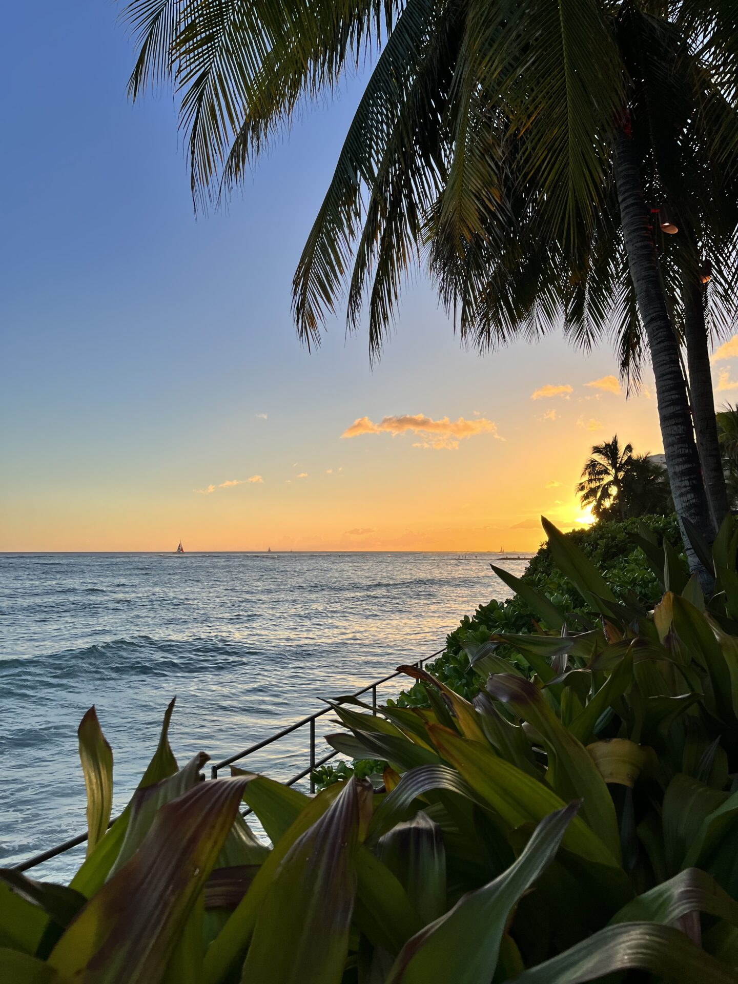 櫻田涼の仕事術