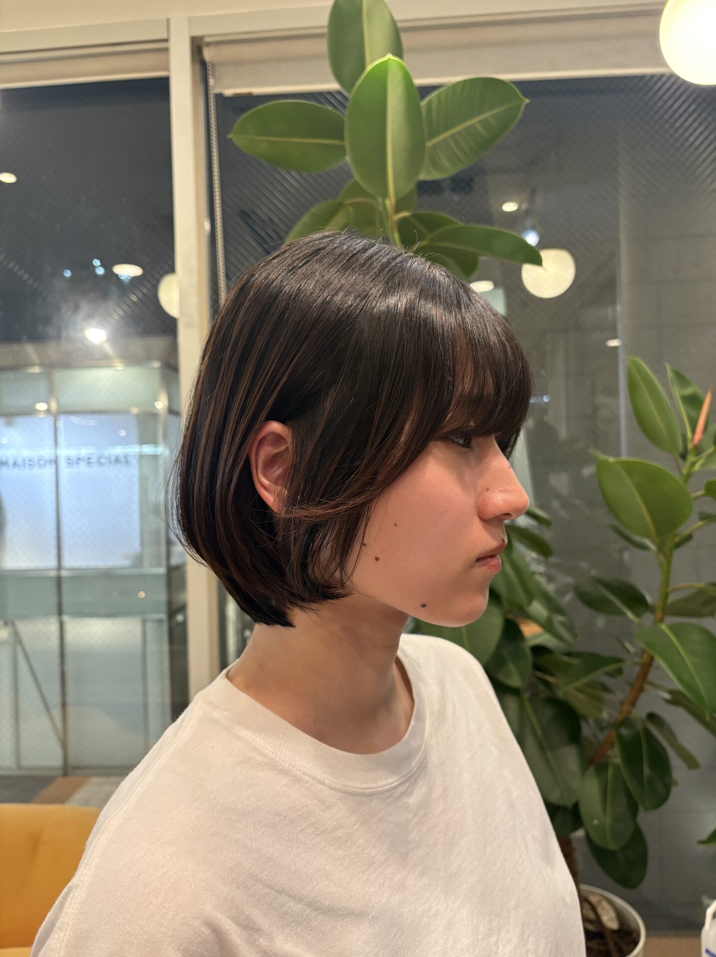 丸みが可愛いグラボブ🫧‪🎀