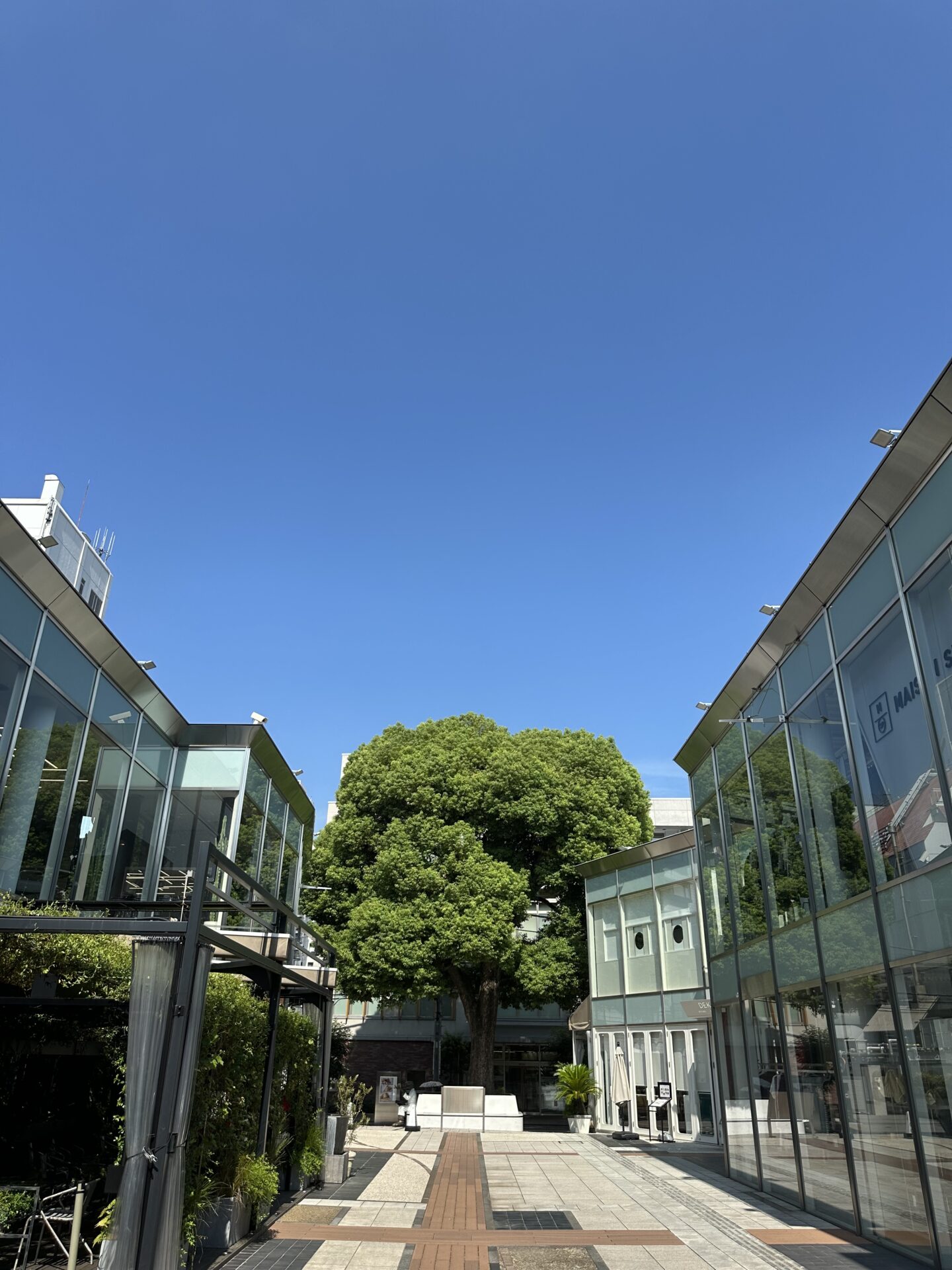 夏の終わりに髪を切りませんか？