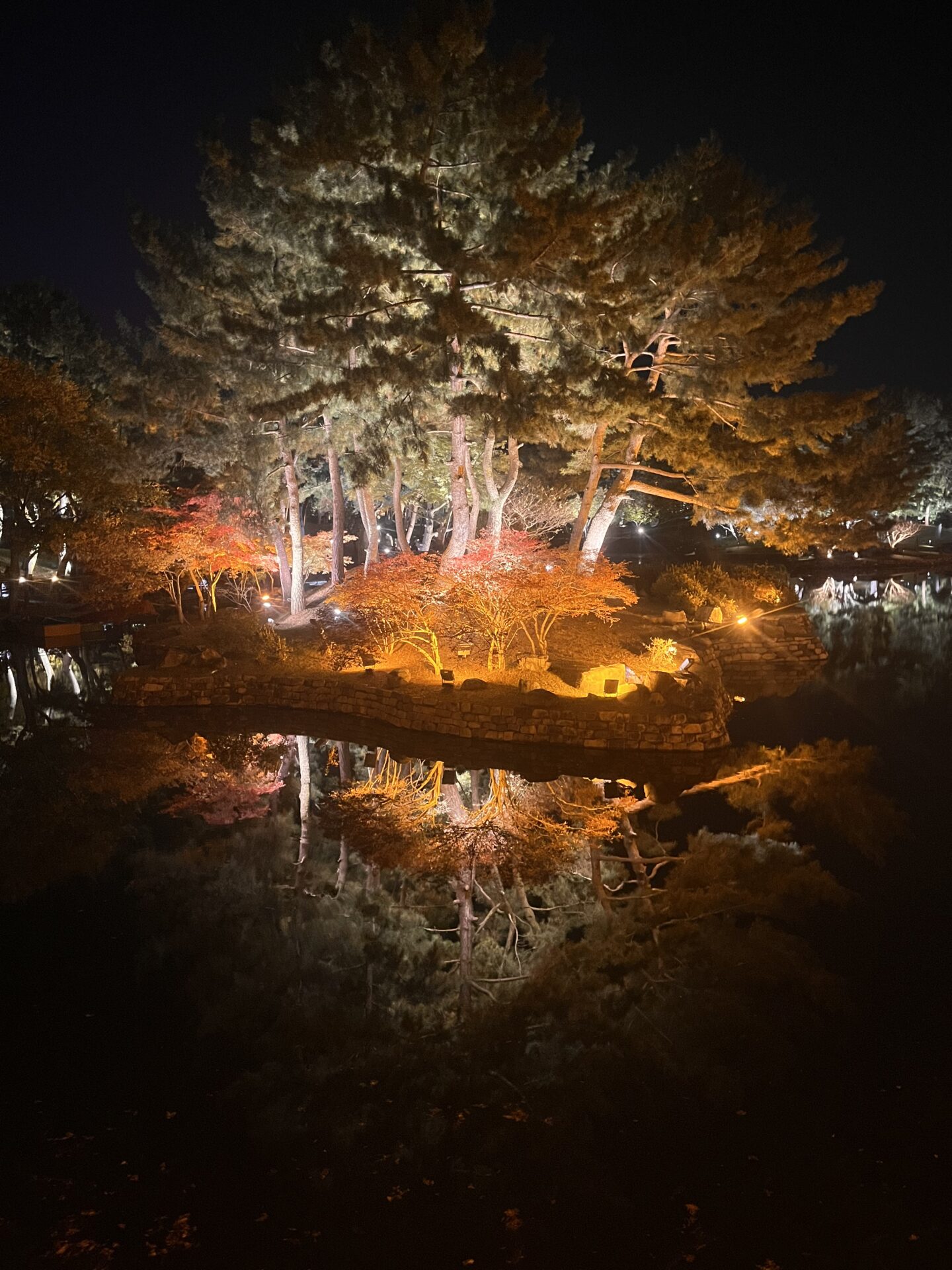 DIFINO忘年会とクリスマス正装営業