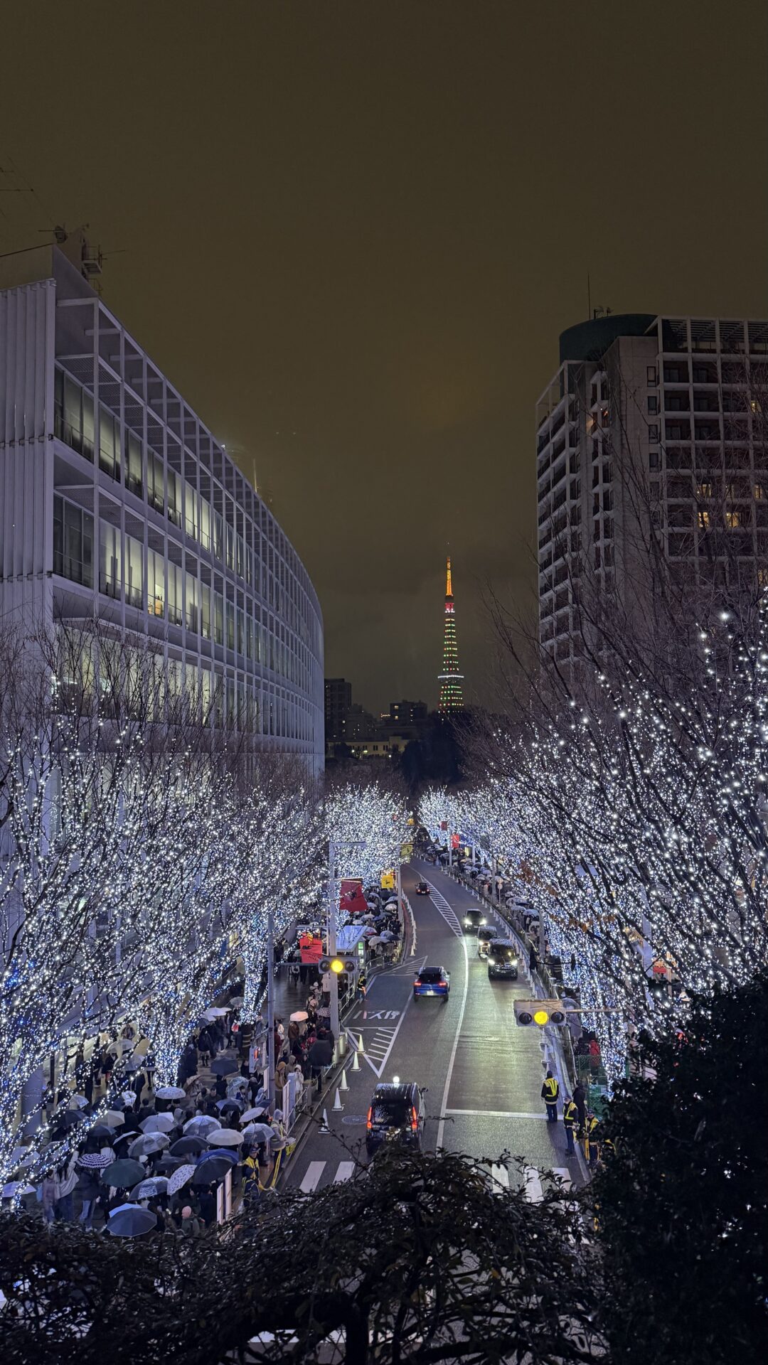 明けましておめでとうございます🎍