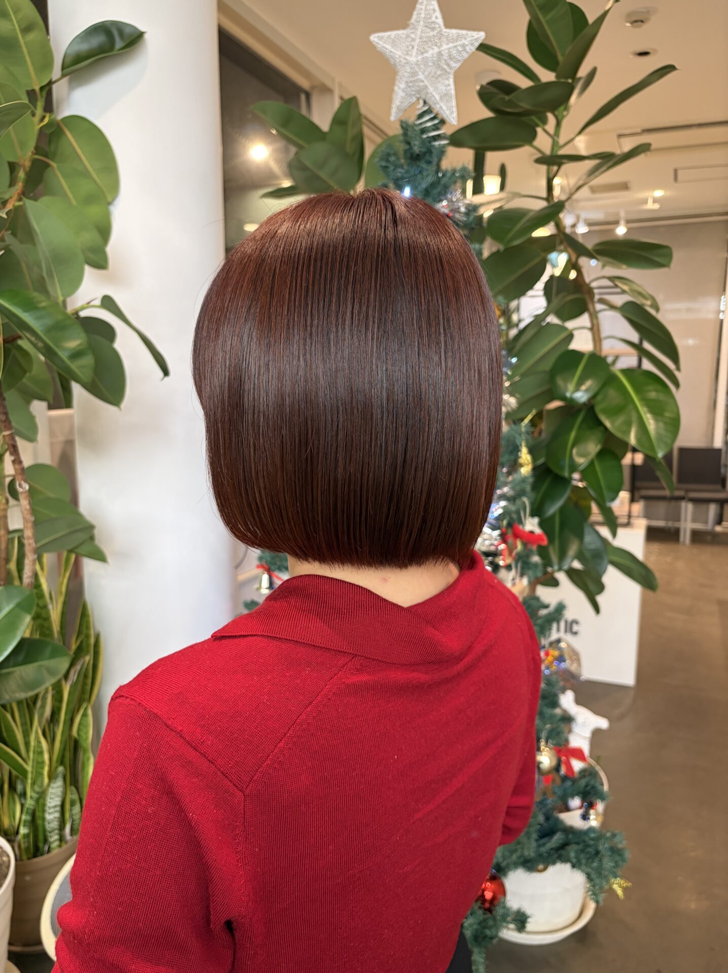 オレンジブラウン⸝⋆