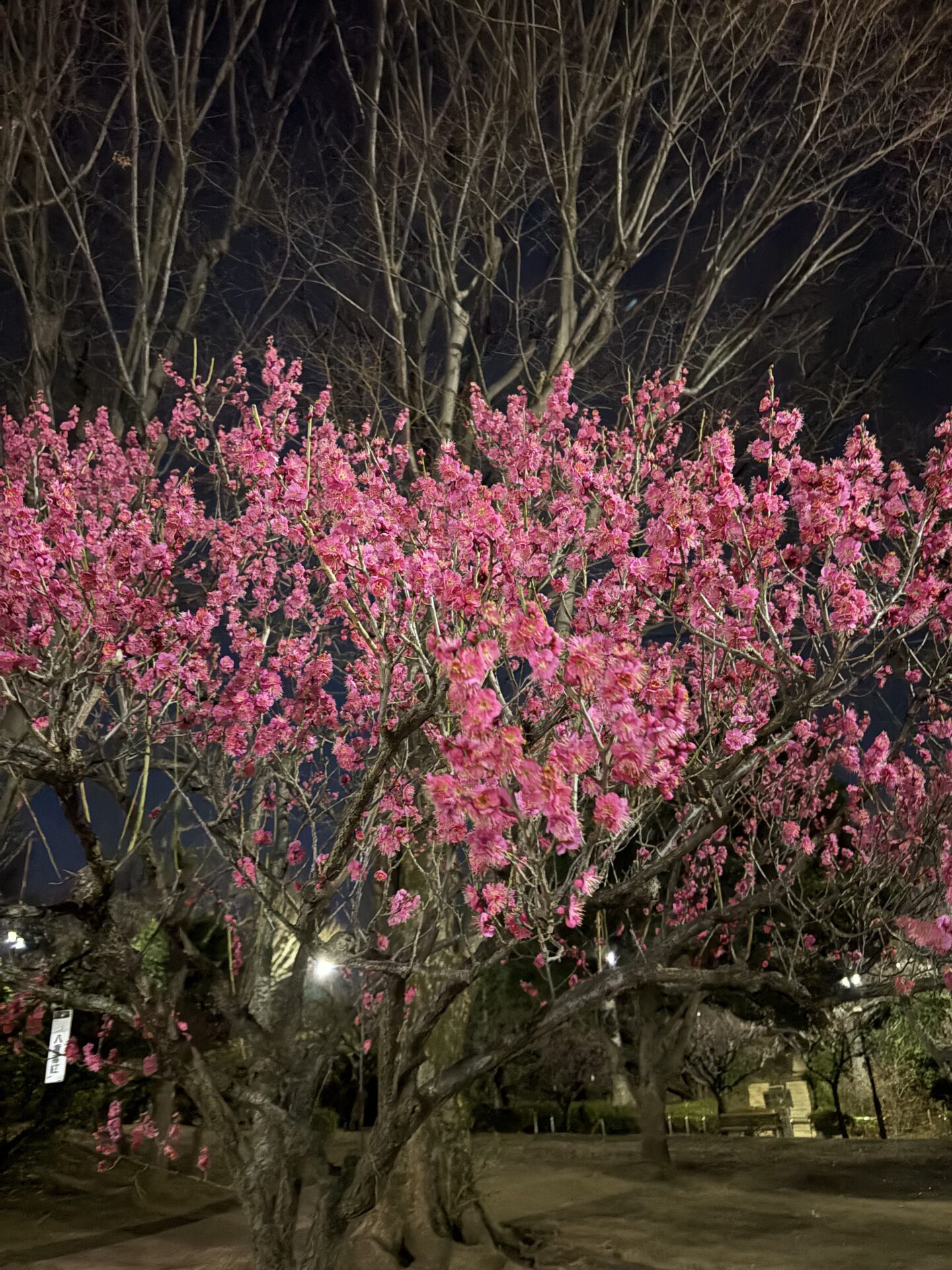 料金改正のご案内