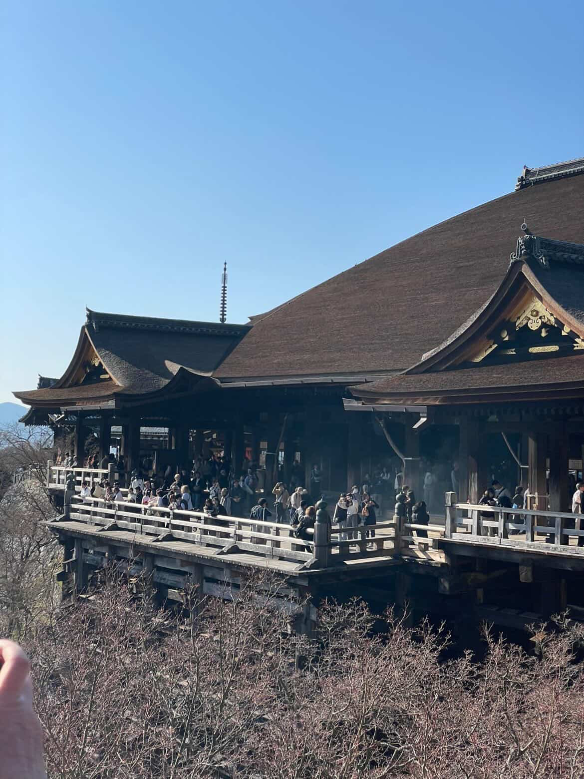 久々に家族旅行行ってきました💫