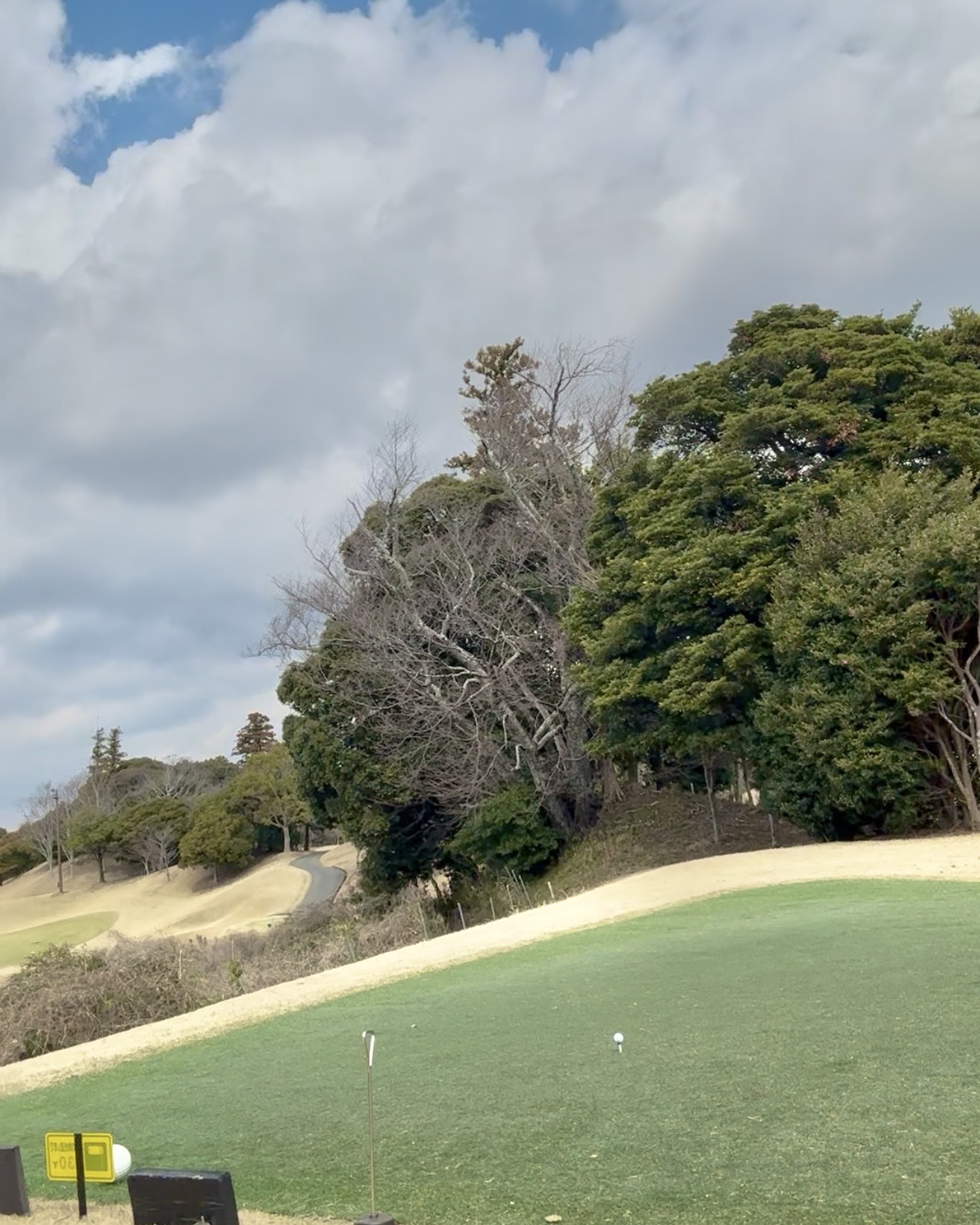 新しい趣味ができました♪