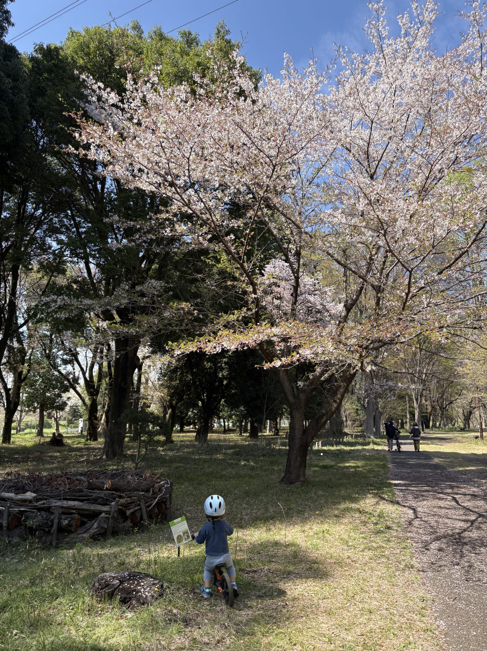 ありがとうございます！