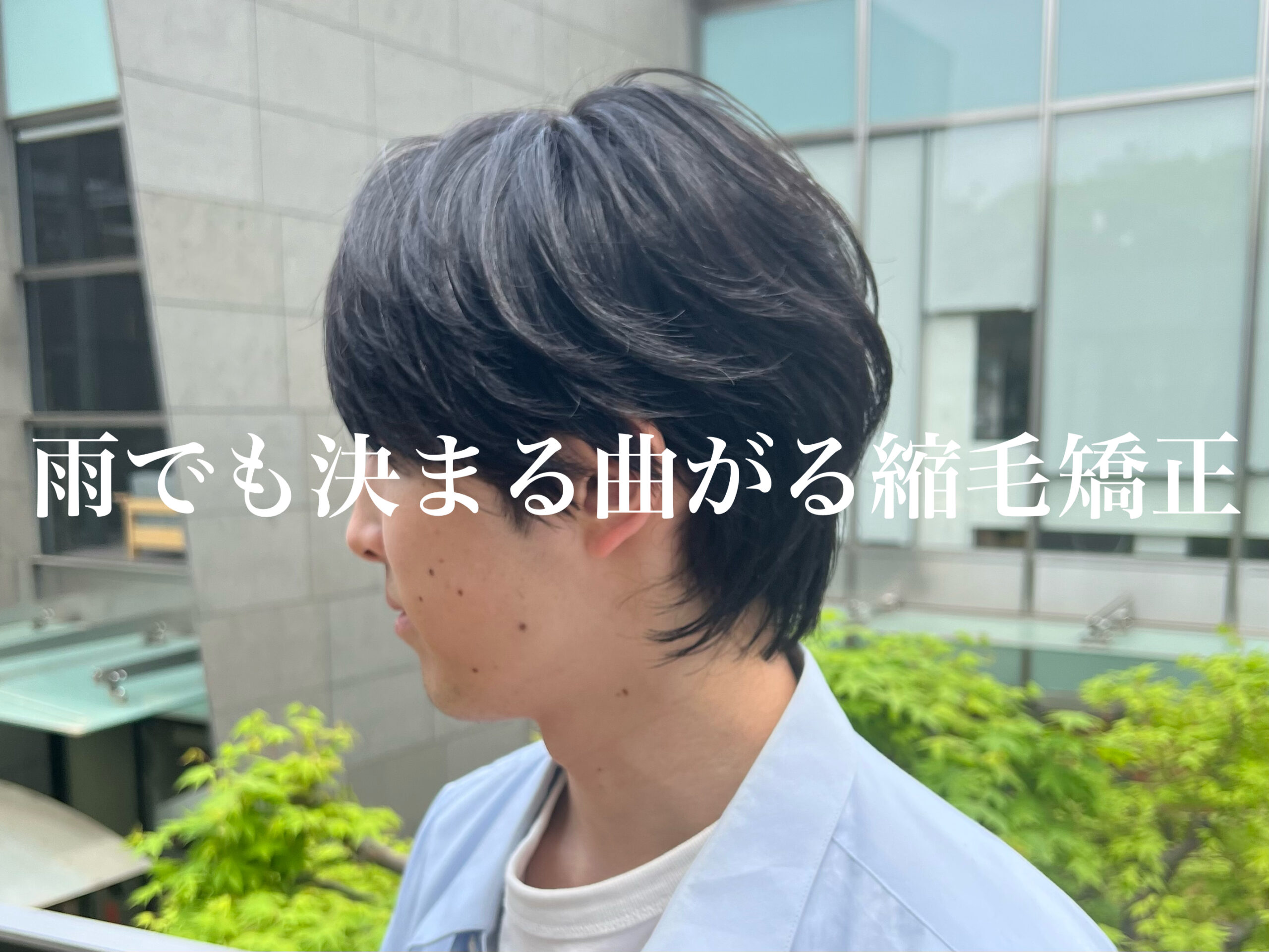 【DIFINO 赤坂　櫻田】雨でも決まる曲がる縮毛矯正