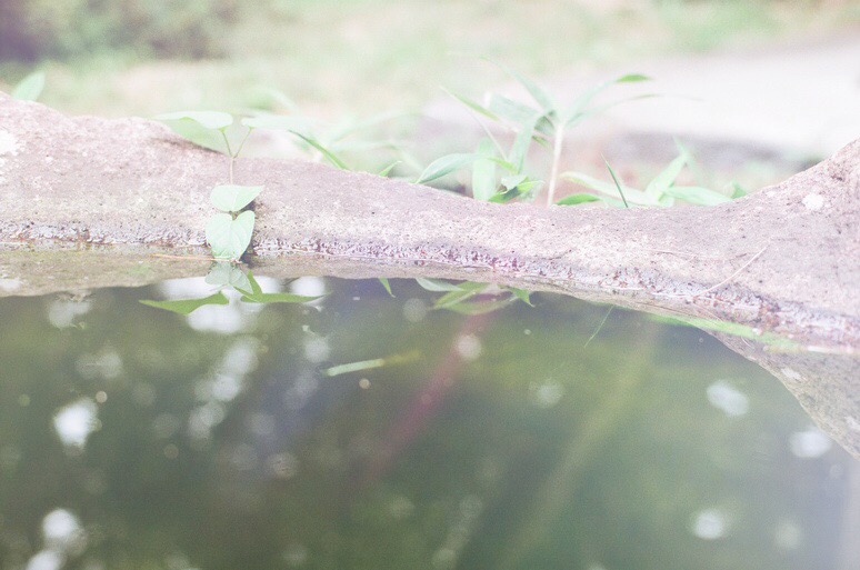 秋に向けての夏バテケア☆