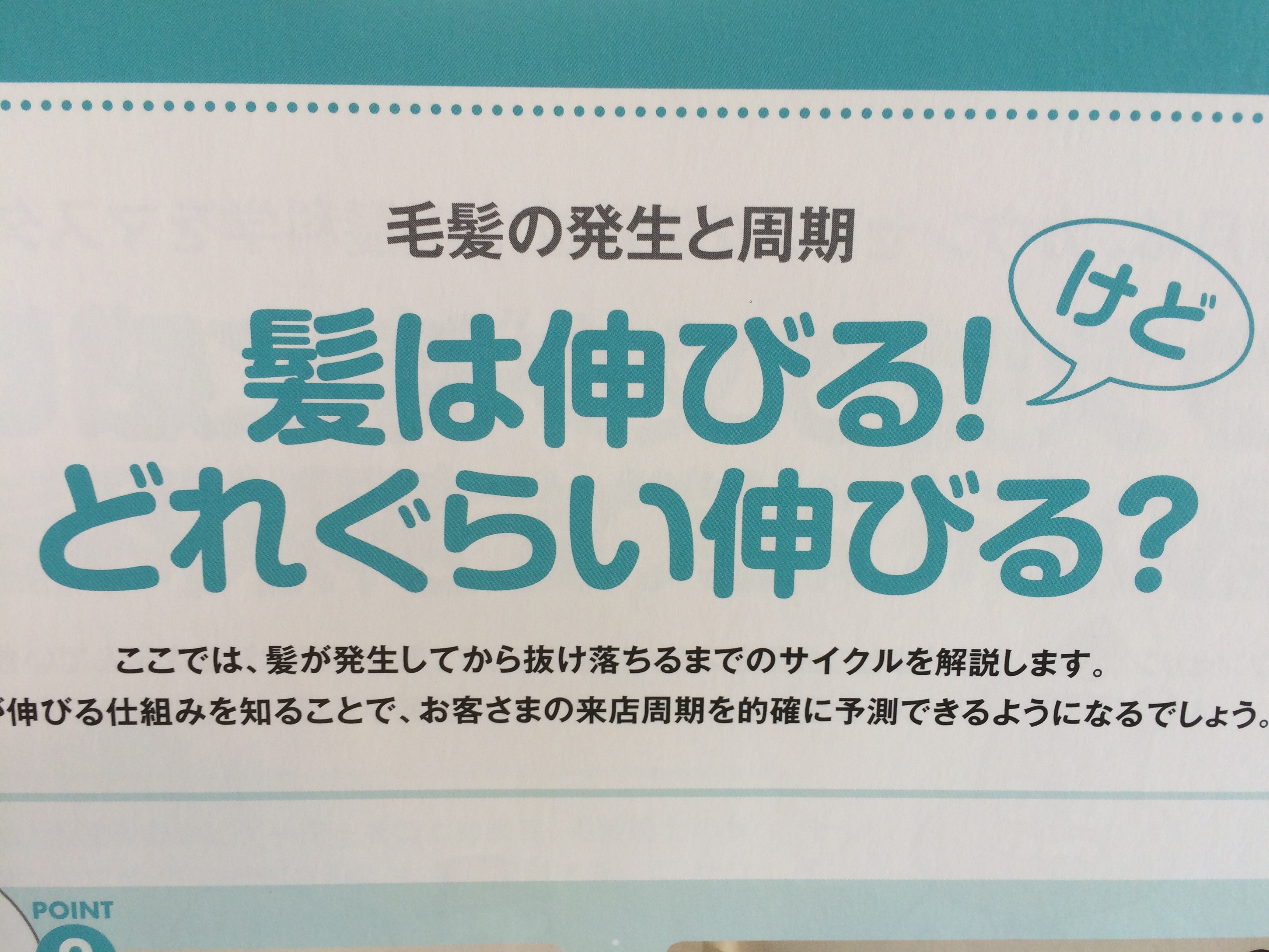 ヘアサイクルとは⁉︎