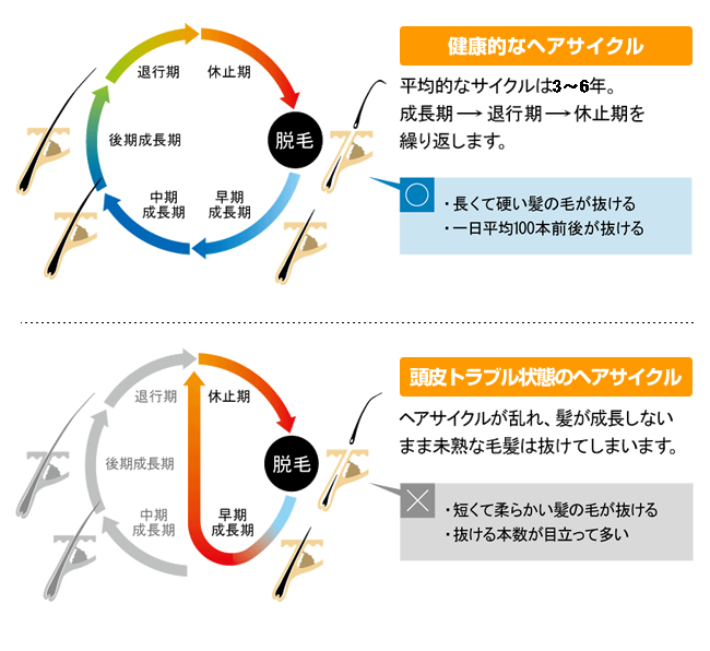 この時期気になる髪の毛の事