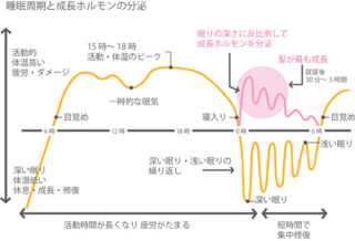 髪と寝不足の関係。