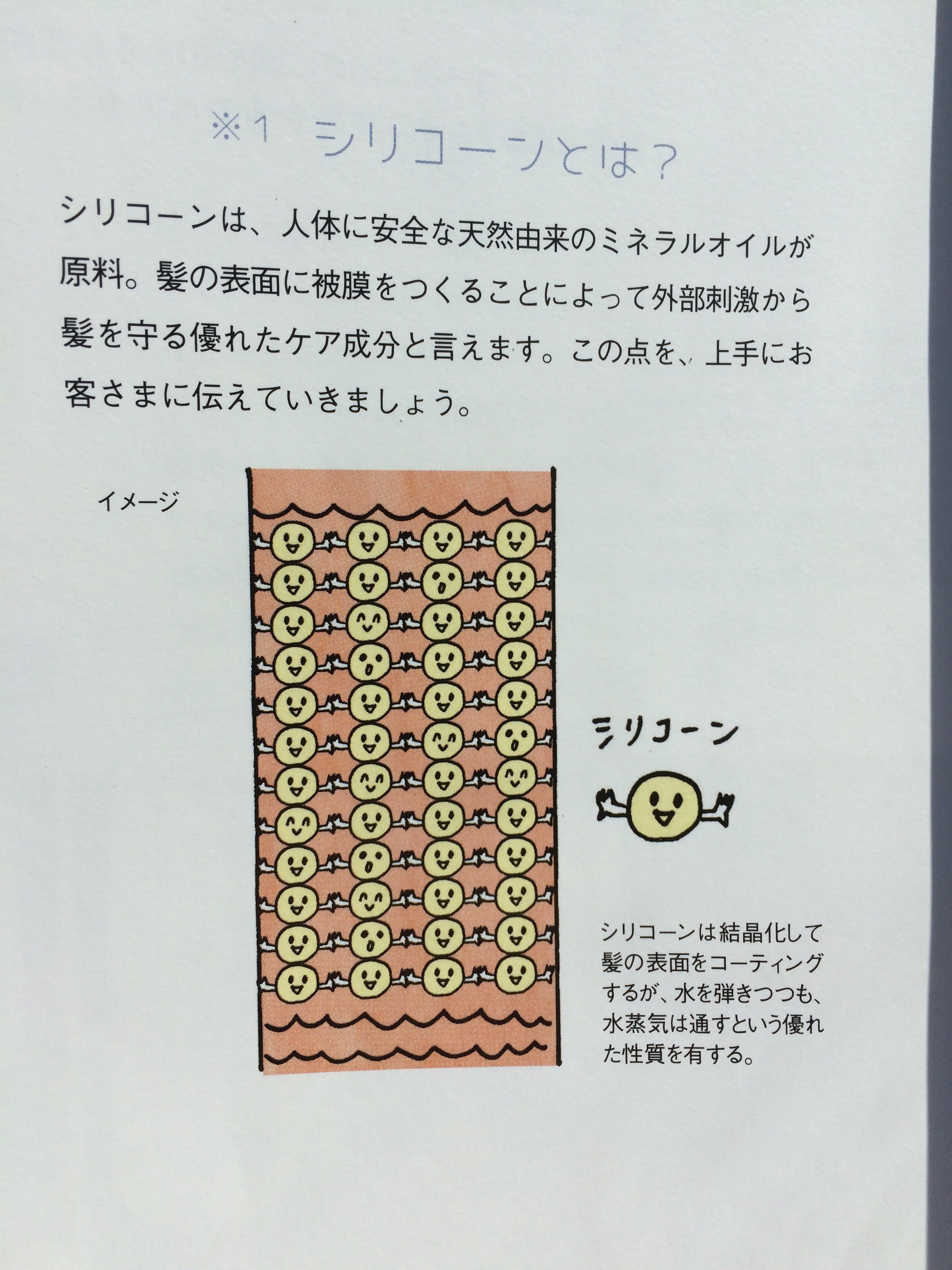 シリコンとはなんぞや⁉︎