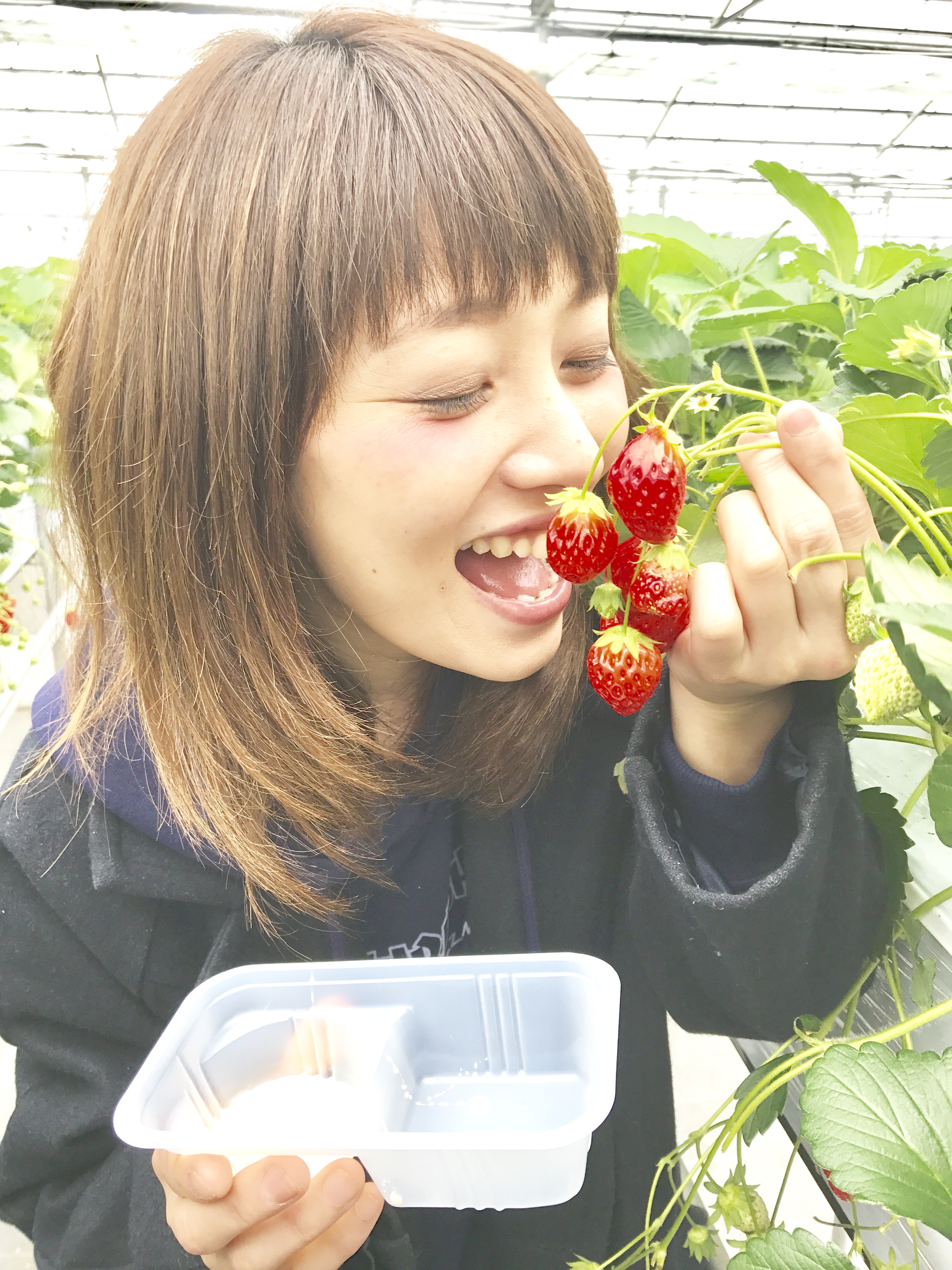 いちご狩り🍓