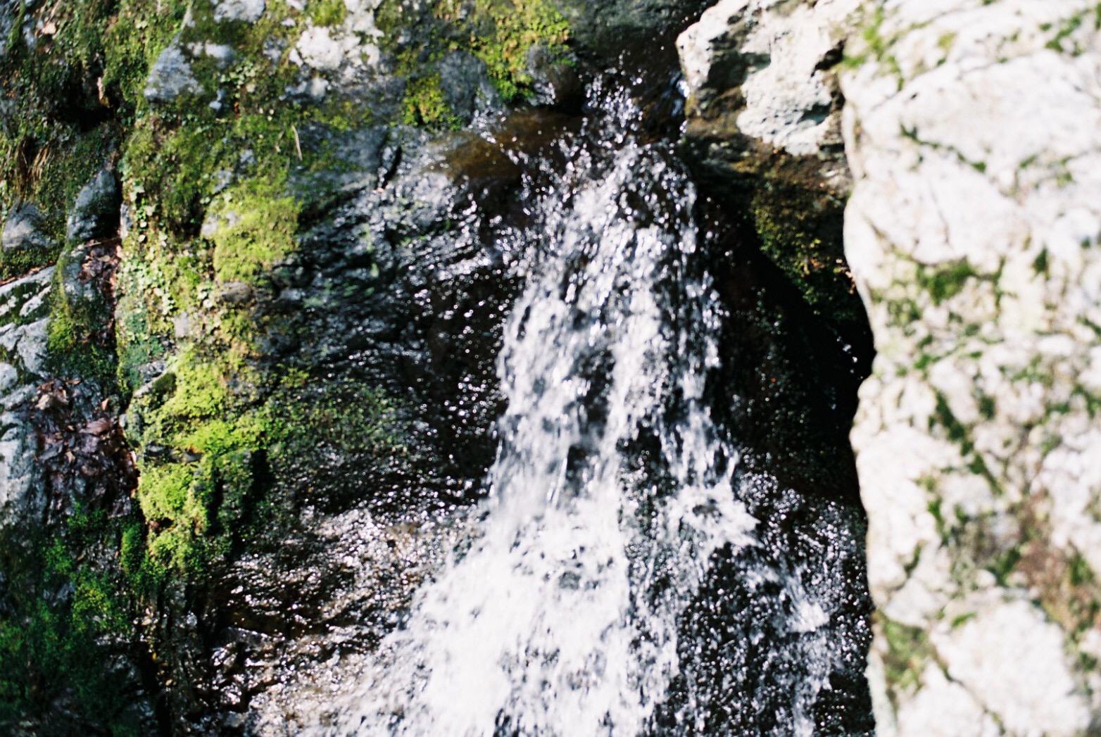 頭皮にも保湿を