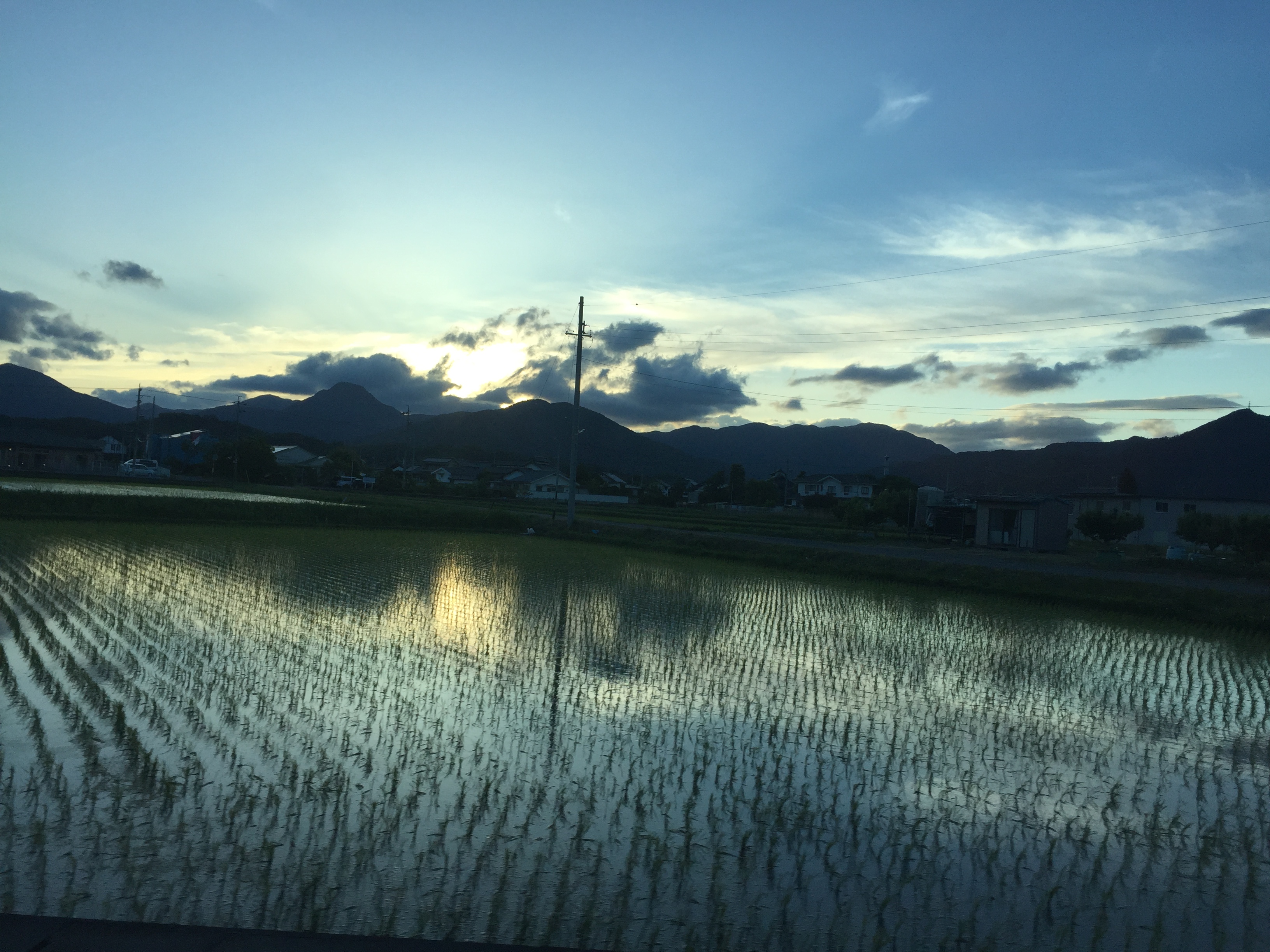 梅雨対策シャンプー編