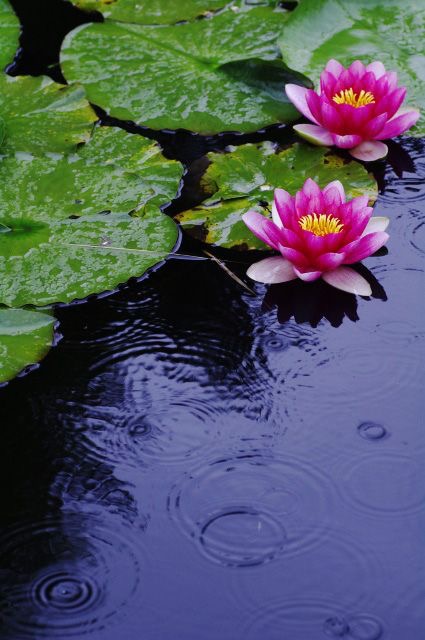 梅雨の湿気から守ろう‼︎