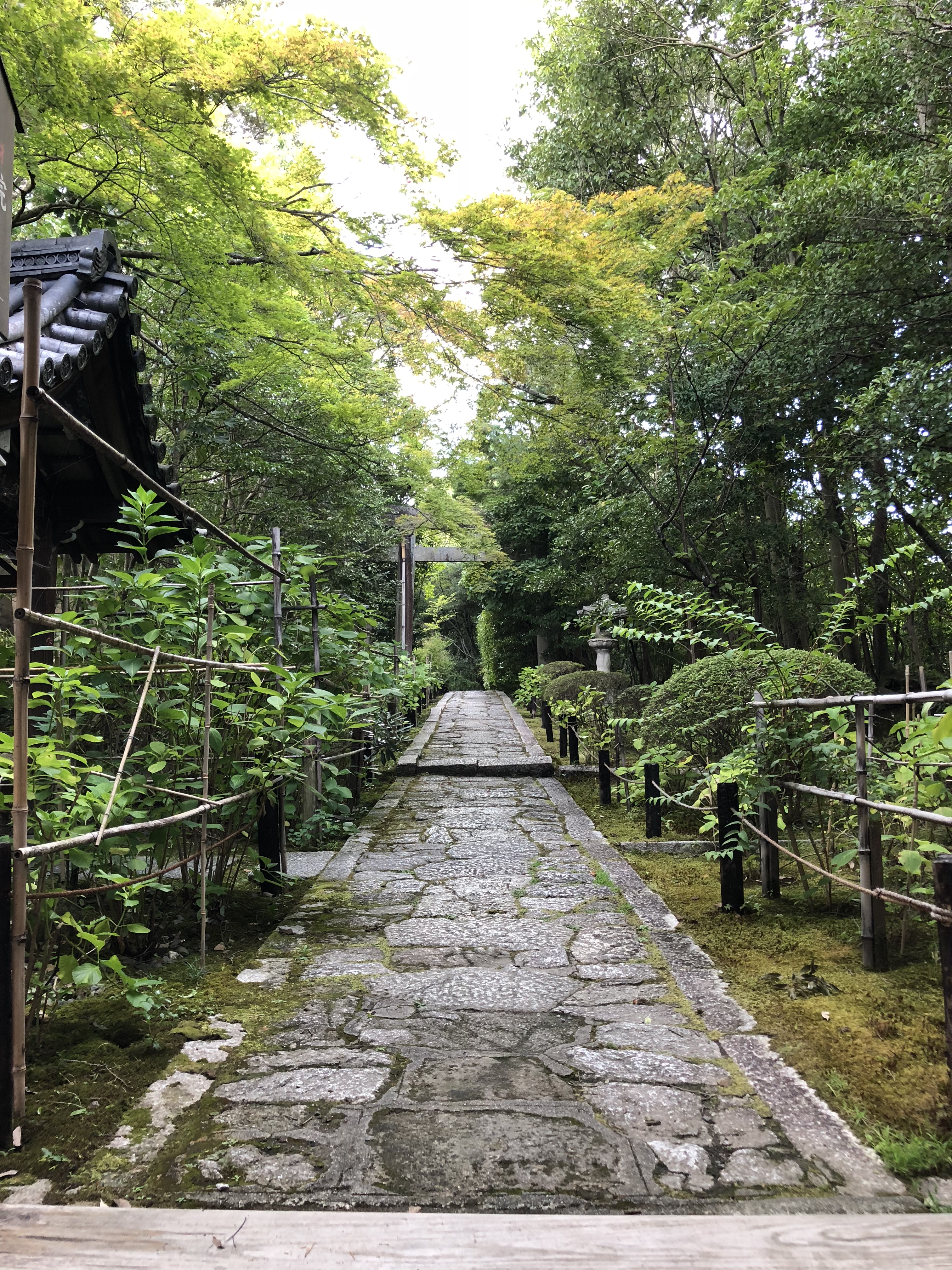 夏休み頂きました！