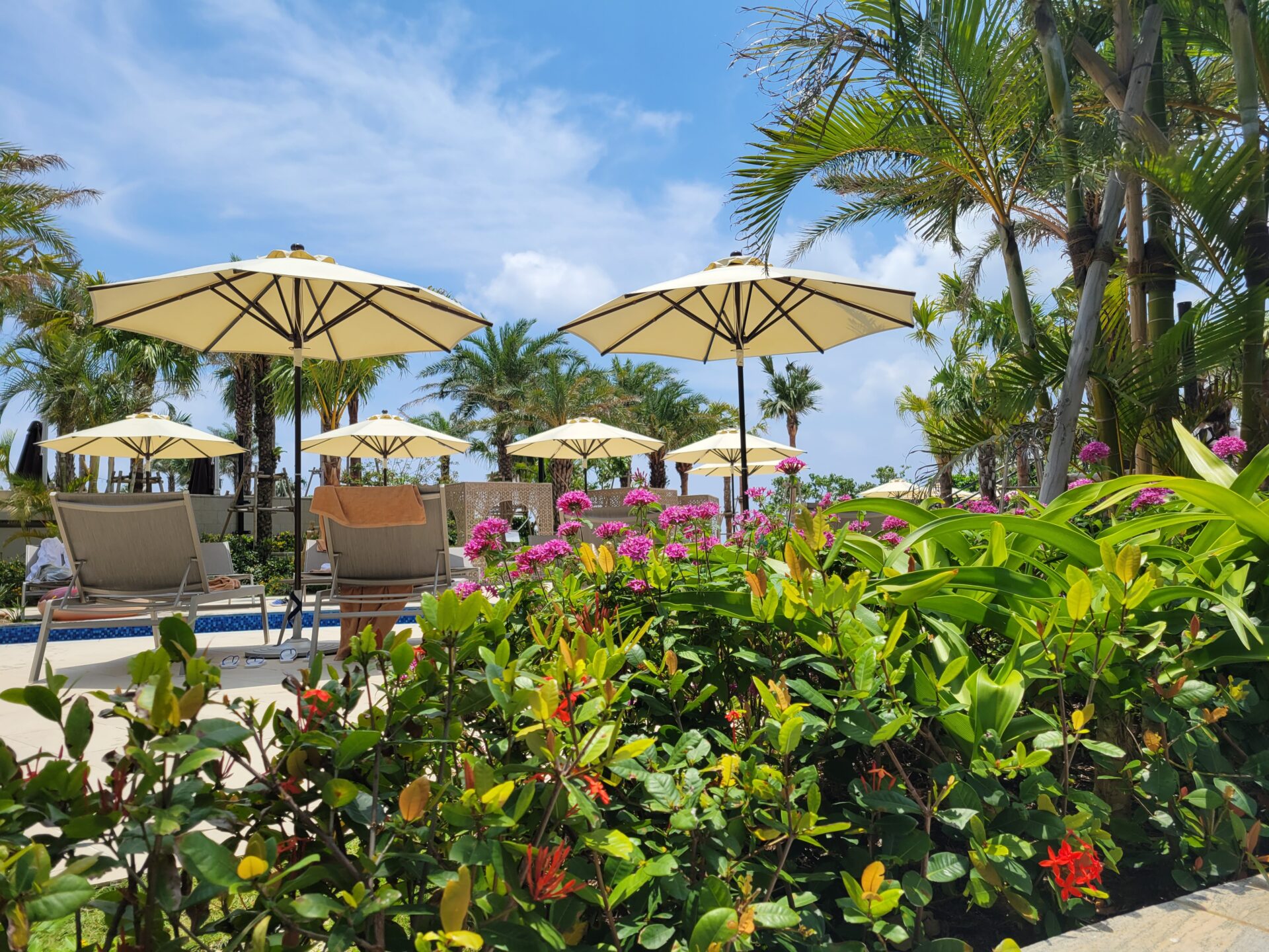 インブルビカの投与量の概要