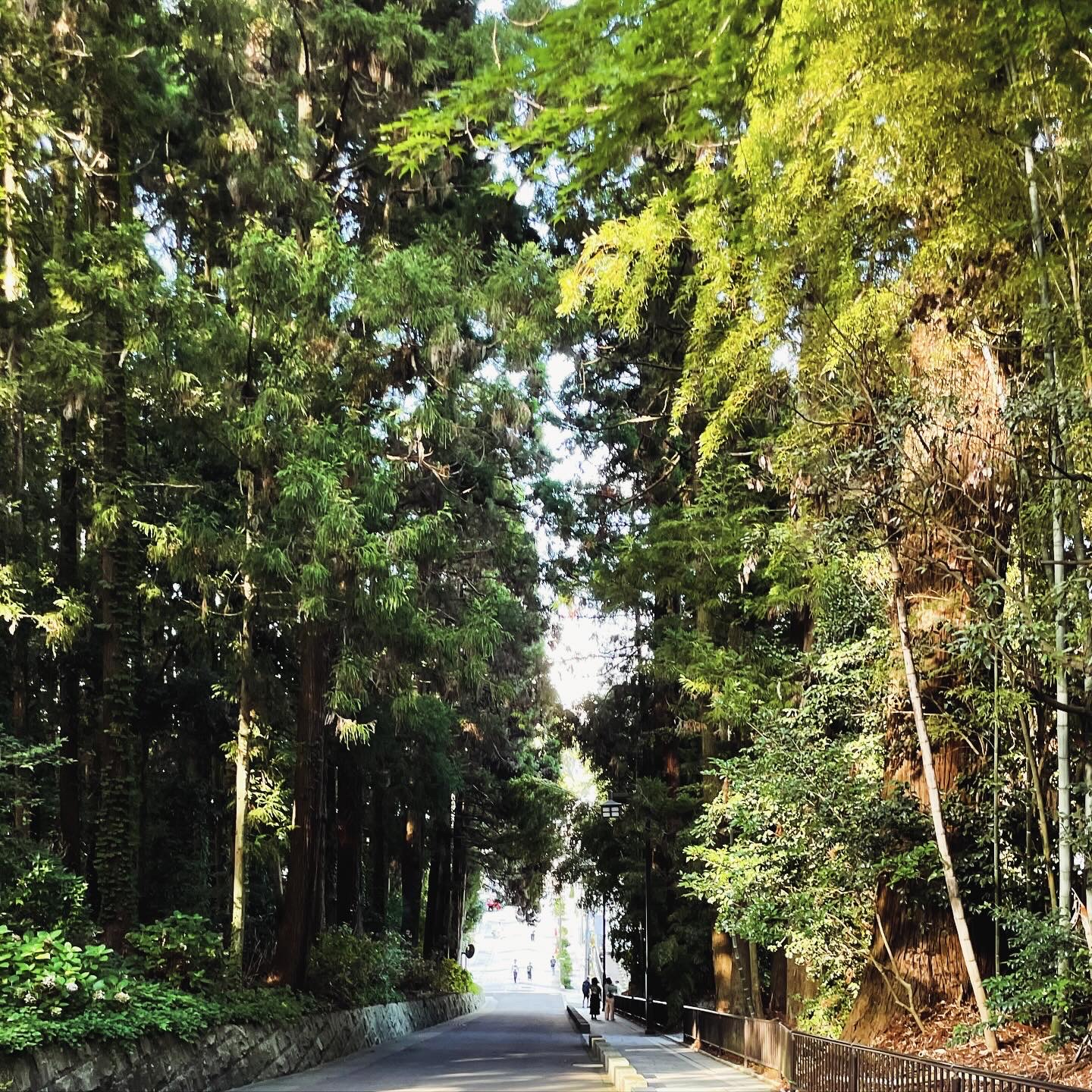 新年明けましておめでとうございます✨