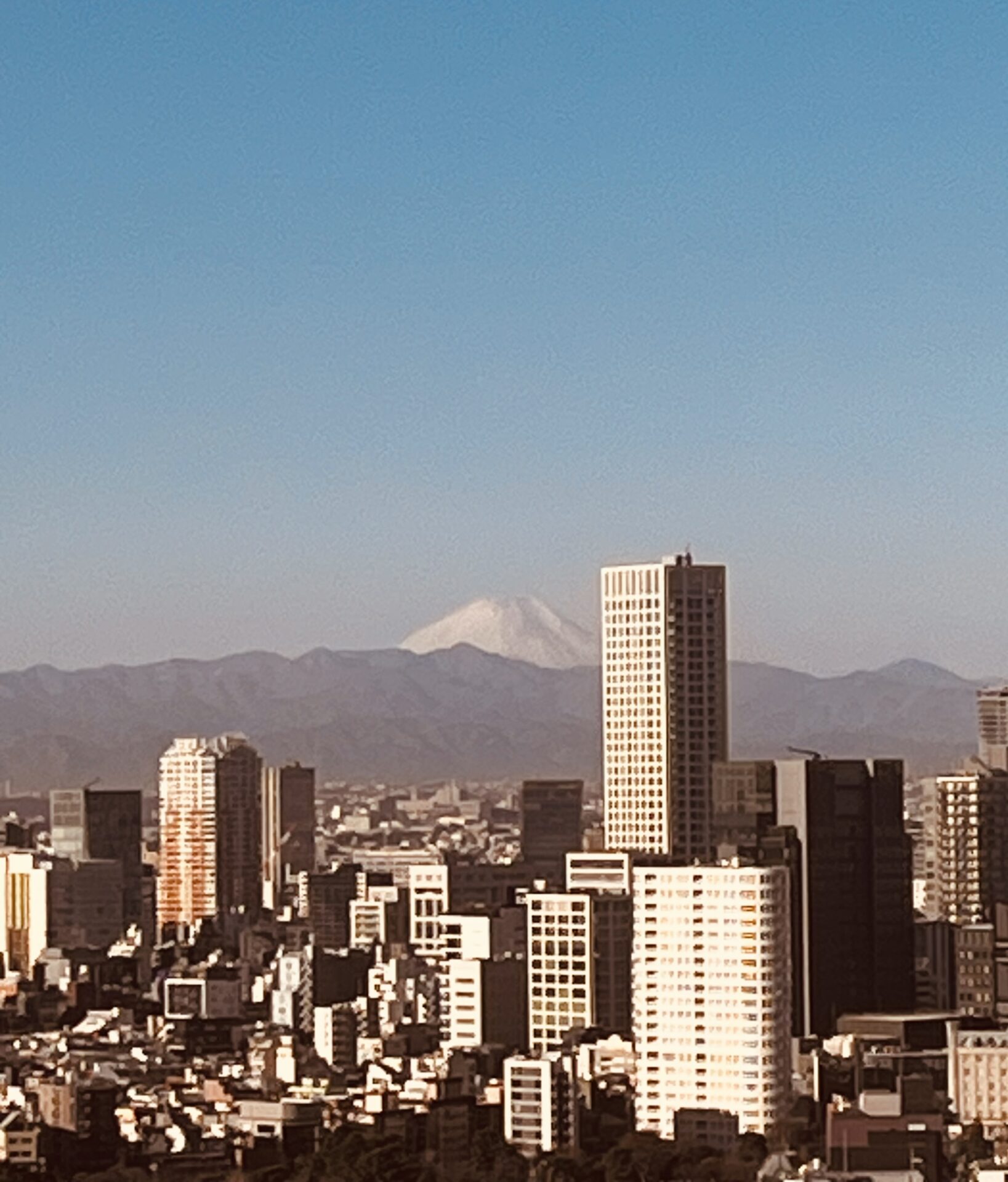 「まだ決まっていない」からこそ、DIFINOを知ってほしい理由」