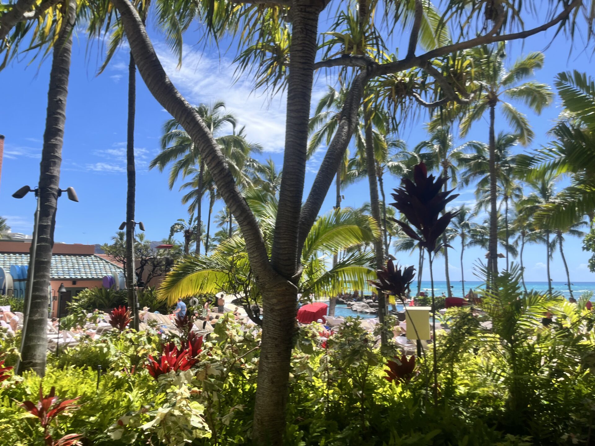 「伸ばしかけでもオシャレに差がつく｜今っぽレイヤー×アールカットで作るリアルオーダーヘア」